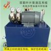 厂家定制双联泵液压系统 订做中小型成套液压泵站 非标动力单元